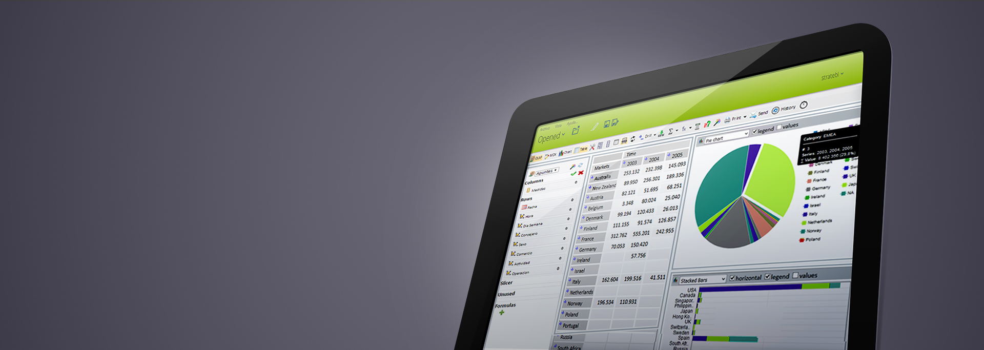 Powerful low cost business intelligence suite